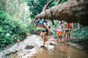 BIB: 
                            <button type="button" onclick="openModal(25372482)" class="btn btn-primary btn-sm float-right btn-popup" data-toggle="modal" data-target=".modal-high-quality">
                        <i class="fas fa-shopping-cart"></i> Add to Cart
                    </button>
                                            <button type="button" onclick="isThisMe(25372482, true)" class="btn btn-success btn-sm float-right btn-popup btn-isme hidden" data-toggle="tooltip" data-placement="bottom" title="นี่คือรูปของคุณใช่ไหม คลิกที่นี่เพื่อเอาเข้าอัลบั้ม">
                        <i class="fas fa-plus"></i> Add to album
                    </button>
                    <button type="button" onclick="isThisMe(25372482, false)" class="btn btn-warning btn-sm float-right btn-popup btn-isnotme hidden">
                        <i class="fas fa-ban"></i> Remove from album
                    </button>